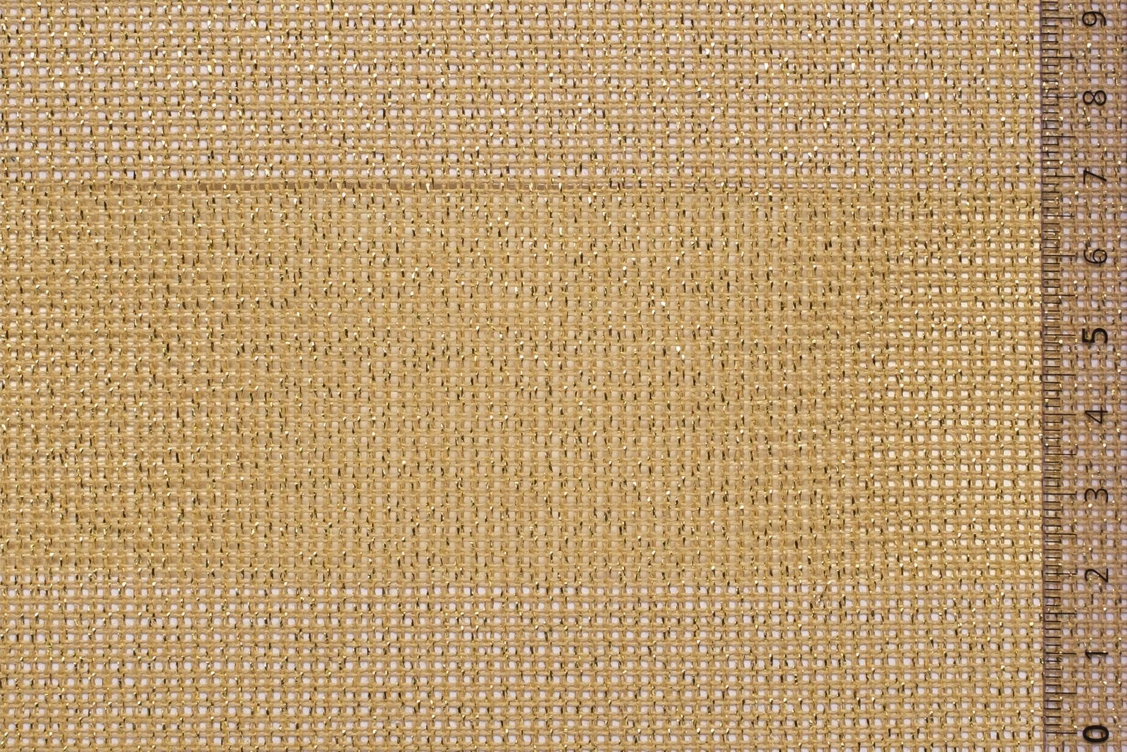 01CAN54KHAGOLxxxCOTLUR[CANVAS 54 No8](GOLD KHAKI)F